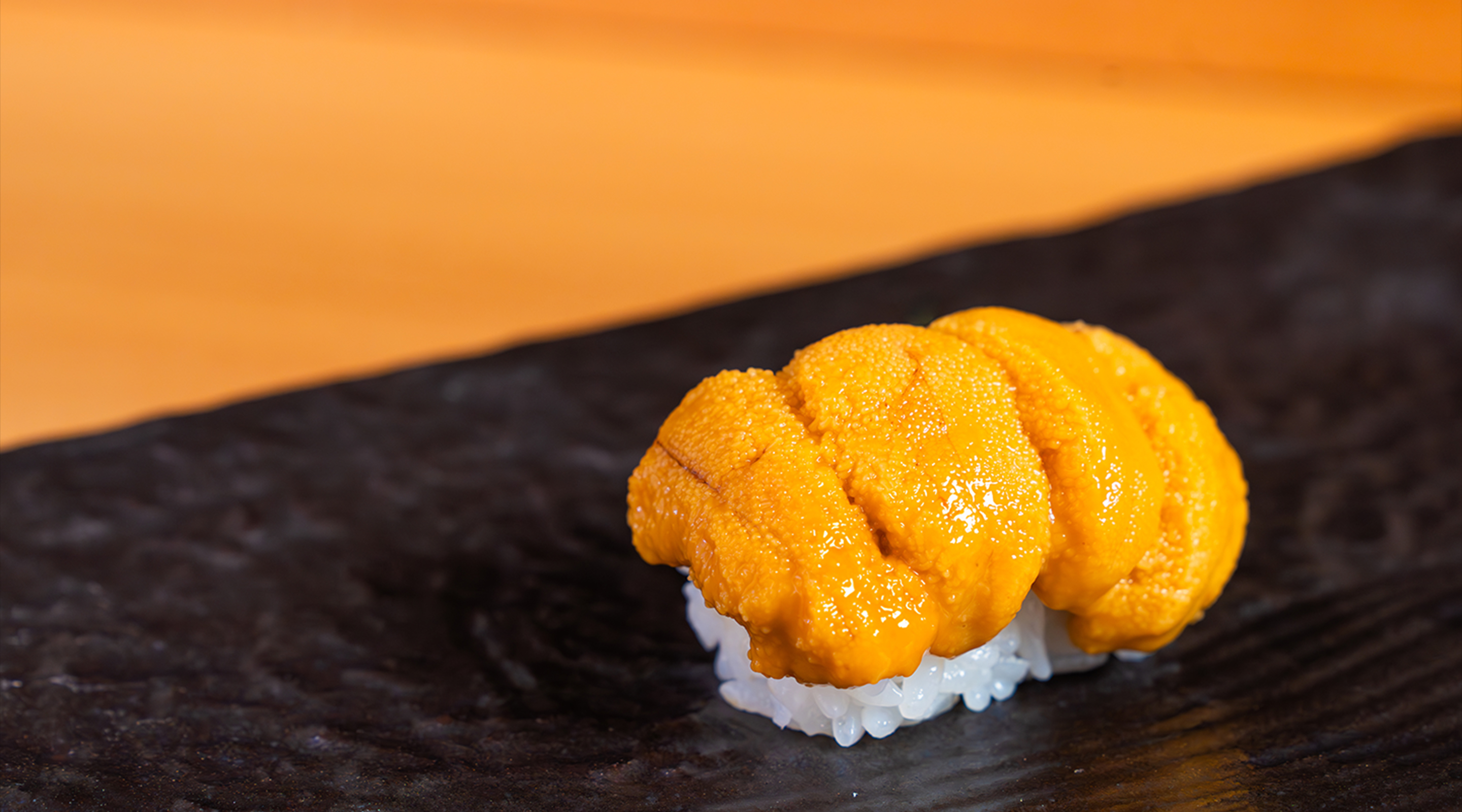 神楽坂　寿司　青波